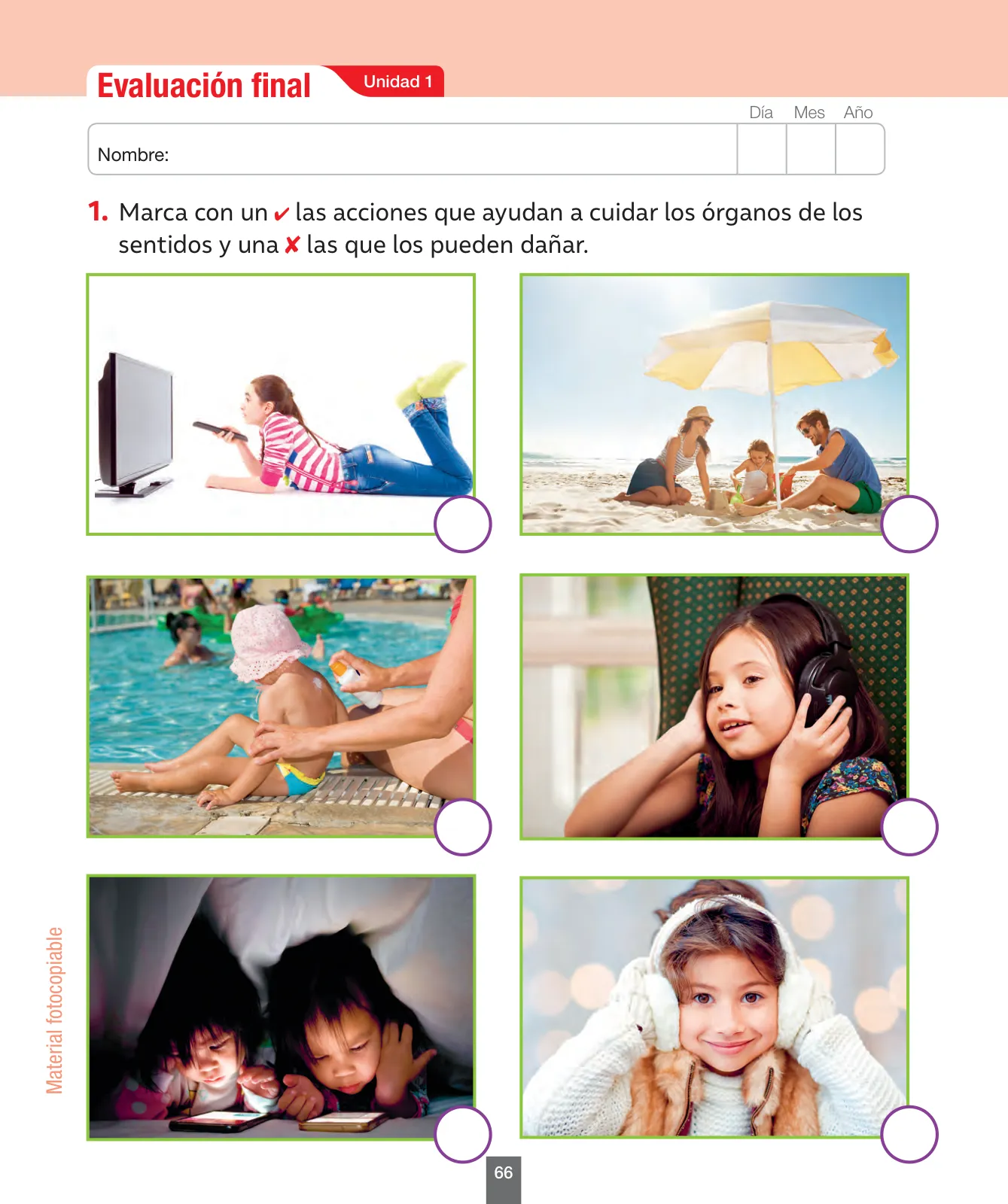 Miniatura página 67 de Ciencias Naturales – Primero Básico | Texto del Estudiante (MINEDUC) – Descargar PDF · 2024