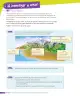 Miniatura página 169 de Historia, Geografía y Ciencias Sociales – Cuarto Básico | Texto del Estudiante MINEDUC – Descargar PDF · 2024