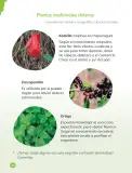 Miniatura página 92 de Ciencias Naturales – Primero Básico | Texto del Estudiante (MINEDUC) – Descargar PDF · 2024