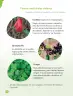 Miniatura página 92 de Ciencias Naturales – Primero Básico | Texto del Estudiante (MINEDUC) – Descargar PDF · 2024