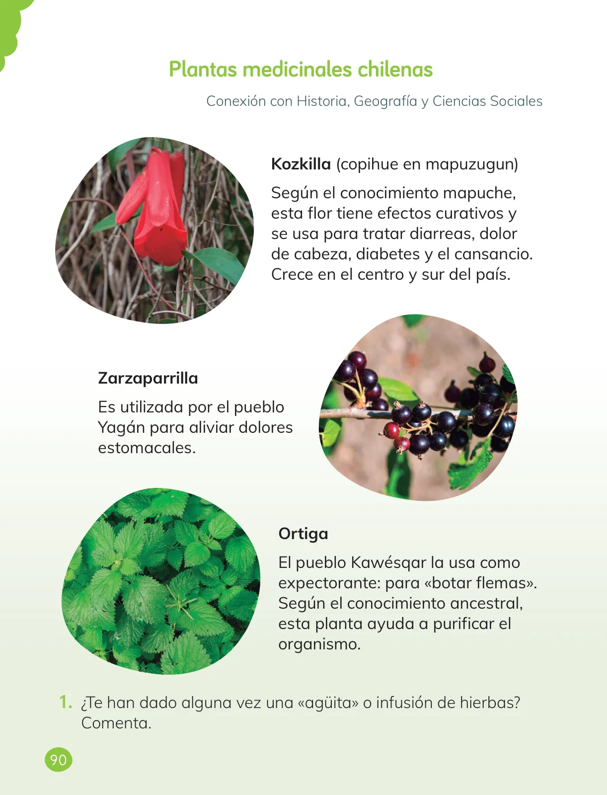 Miniatura página 92 de Ciencias Naturales – Primero Básico | Texto del Estudiante (MINEDUC) – Descargar PDF · 2024