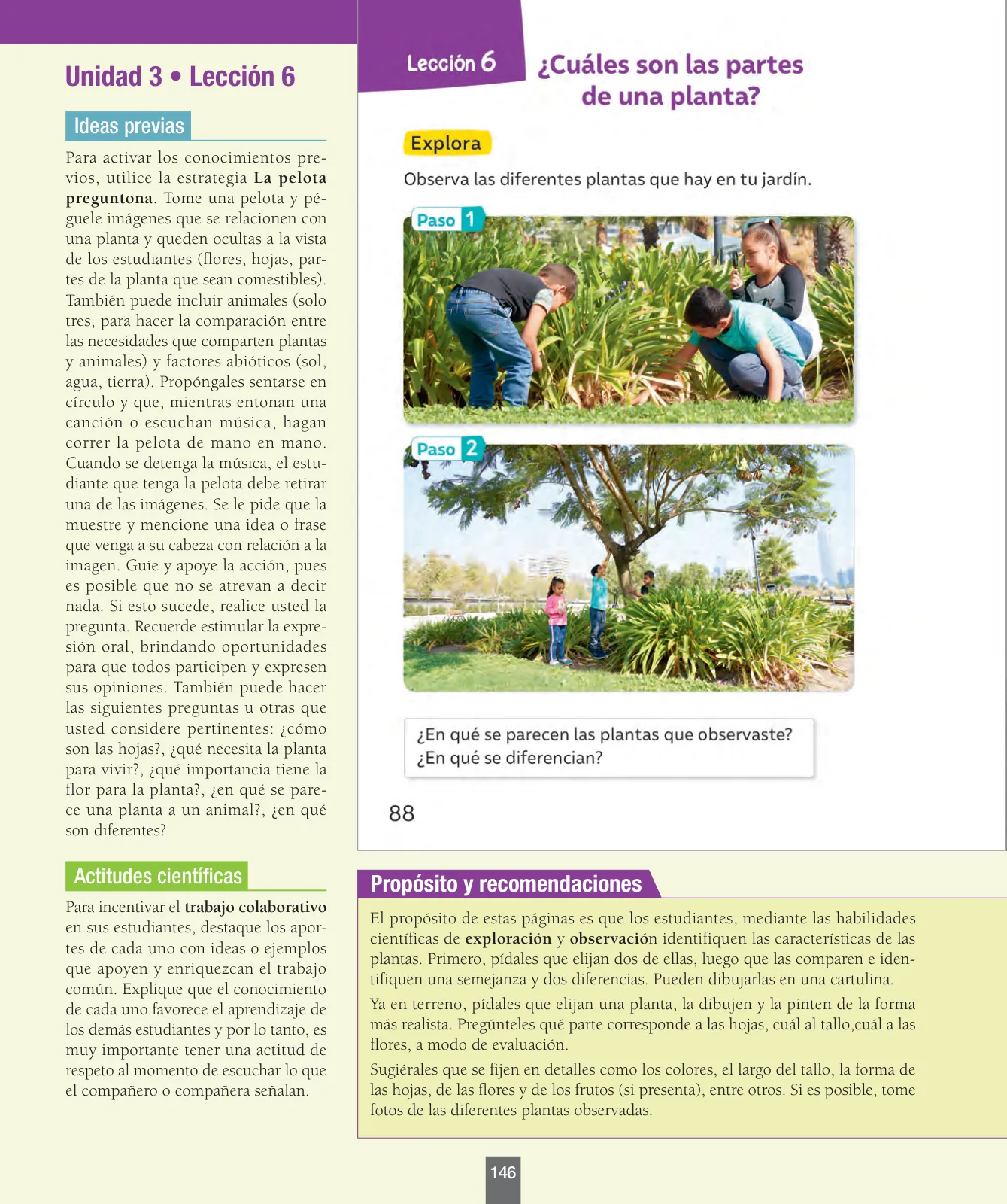 Miniatura página 147 de Ciencias Naturales – Primero Básico | Texto del Estudiante (MINEDUC) – Descargar PDF · 2024