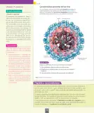 Miniatura página 21 de Ciencias Naturales – Séptimo Básico | Texto del Estudiante MINEDUC – Descargar PDF · 2024
