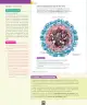Miniatura página 21 de Ciencias Naturales – Séptimo Básico | Texto del Estudiante MINEDUC – Descargar PDF · 2024