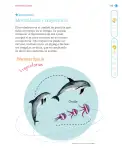 Miniatura página 116 de Nuestros saberes: Libro para alumnos, maestros y familia.   Libro de Educación Primaria Grado 1°  Ciclo Escolar 2025 - 2026