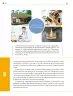 Miniatura página 257 de Colección Sk´asolil. Saberes y pensamiento científico.   Libro de Educación Telesecundaria Grado 2°  Ciclo Escolar 2025 - 2026