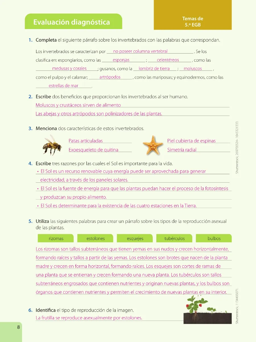 Miniatura página 10 de Ciencias Naturales · 6 EGB · 2025