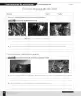 Miniatura página 202 de Historia, Geografía y Ciencias Sociales – Sexto Básico | Texto del Estudiante MINEDUC – Descargar PDF · 2024