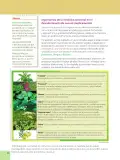 Miniatura página 32 de Ciencias Naturales 6° · Egb 6 Ciencias Naturales 2025 · 2025