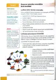 Miniatura página 49 de Ciencias Naturales 4° · Egb 4 Ciencias Naturales 2025 · 2025