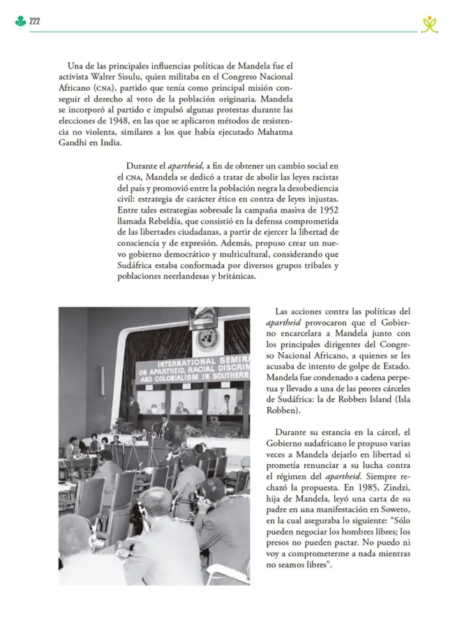 Página 223 de Colección Nanahuatzin. Ética, naturaleza y sociedades. Libro de Educación Telesecundaria Grado 3° Ciclo Escolar 2025 - 2026