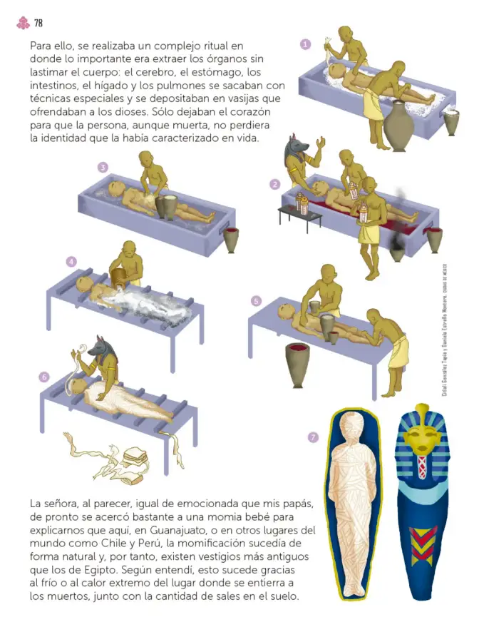 Página 79 de Múltiples lenguajes. Libro de Educación Primaria Grado 3° Ciclo Escolar 2025 - 2026