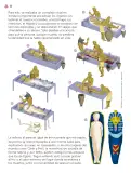 Miniatura página 79 de Múltiples lenguajes.   Libro de Educación Primaria Grado 3°  Ciclo Escolar 2025 - 2026