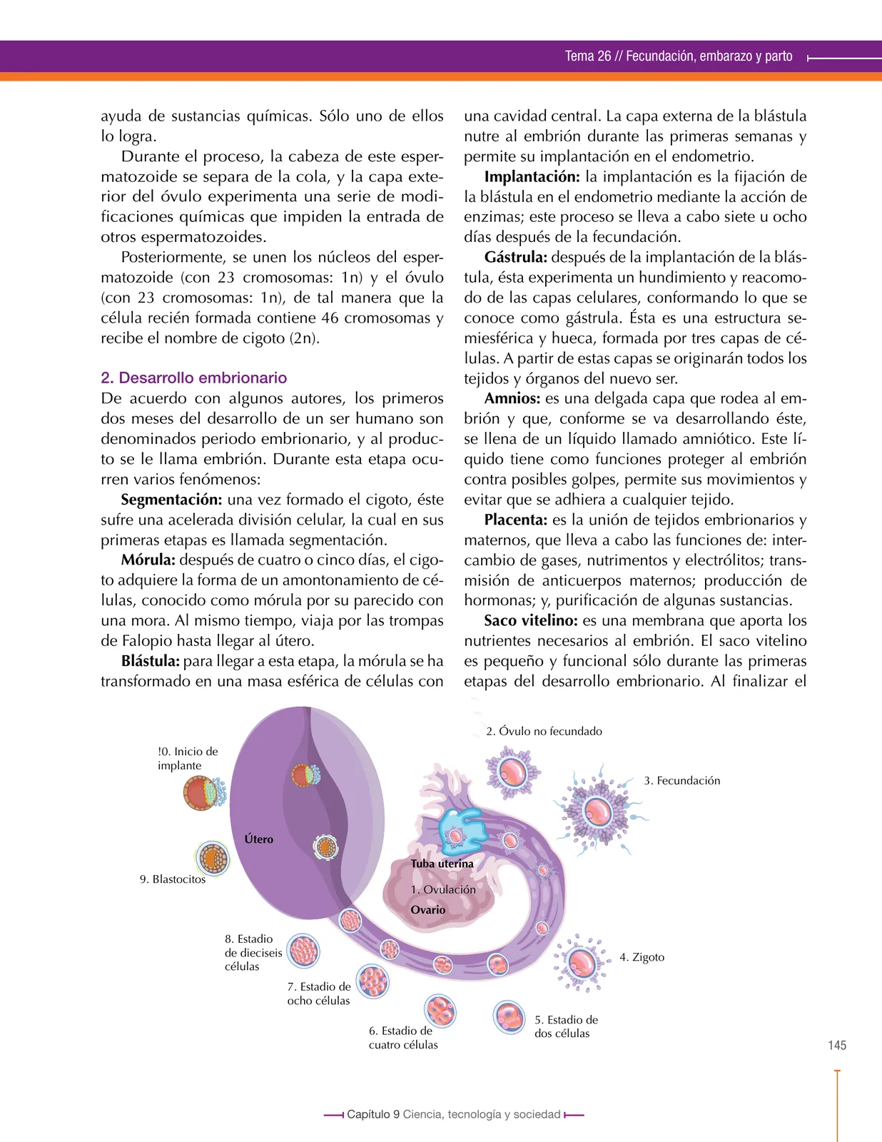 Página 145 de Ciencias Naturales 8° · Secundaria Activa