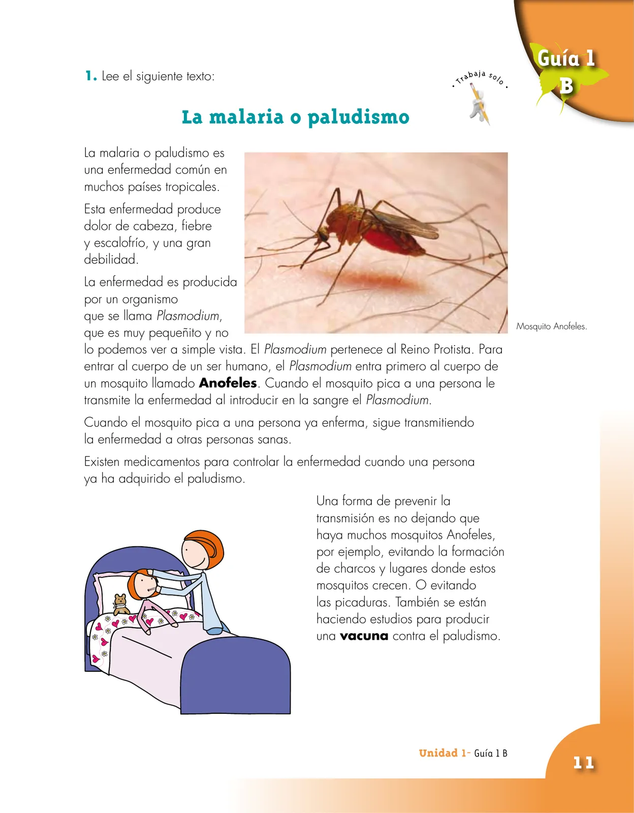 Pág 11