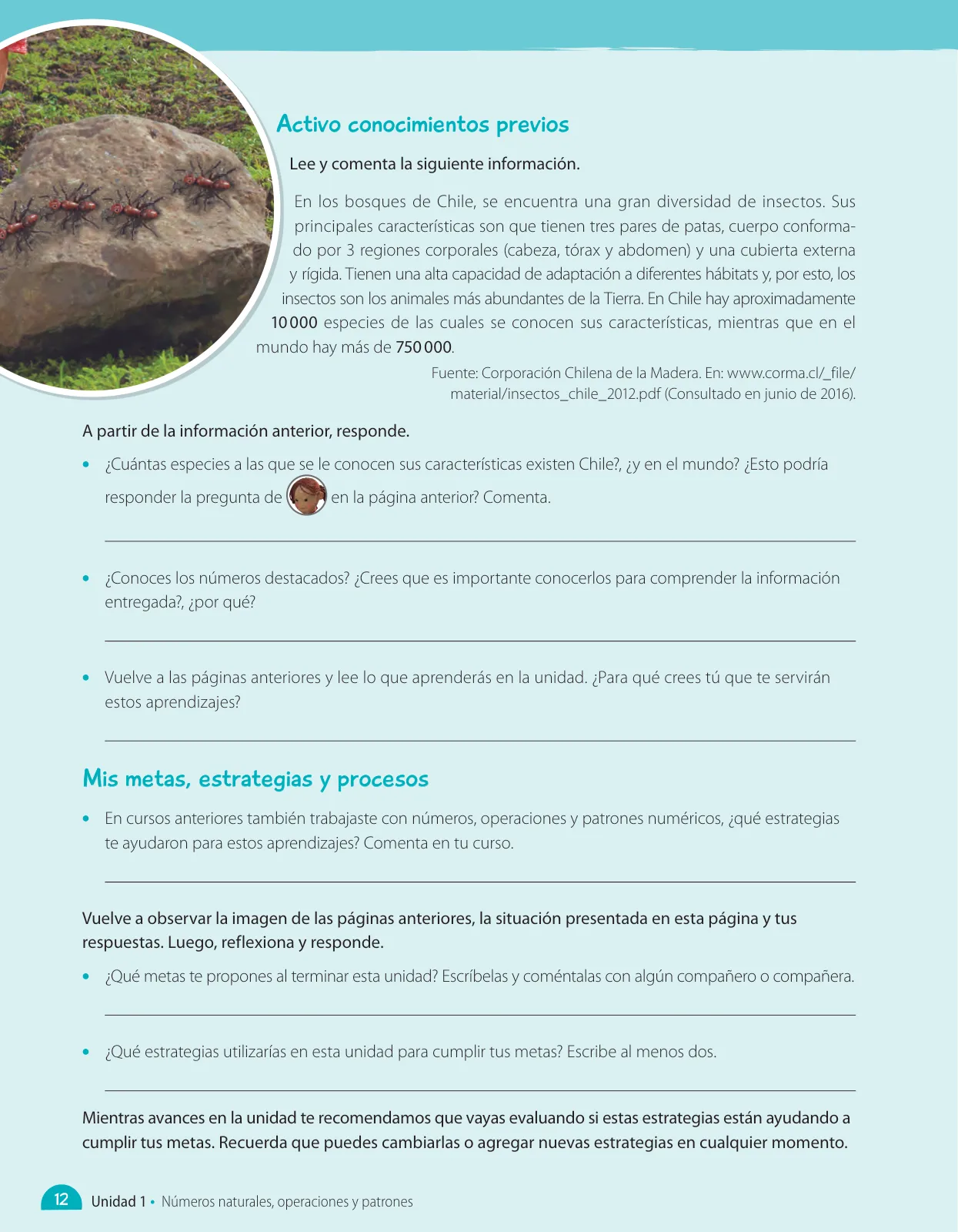 Página 78 de Matemática – Quinto Básico | Texto del Estudiante MINEDUC – Descargar PDF · 2024