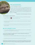 Miniatura página 78 de Matemática – Quinto Básico | Texto del Estudiante MINEDUC – Descargar PDF · 2024