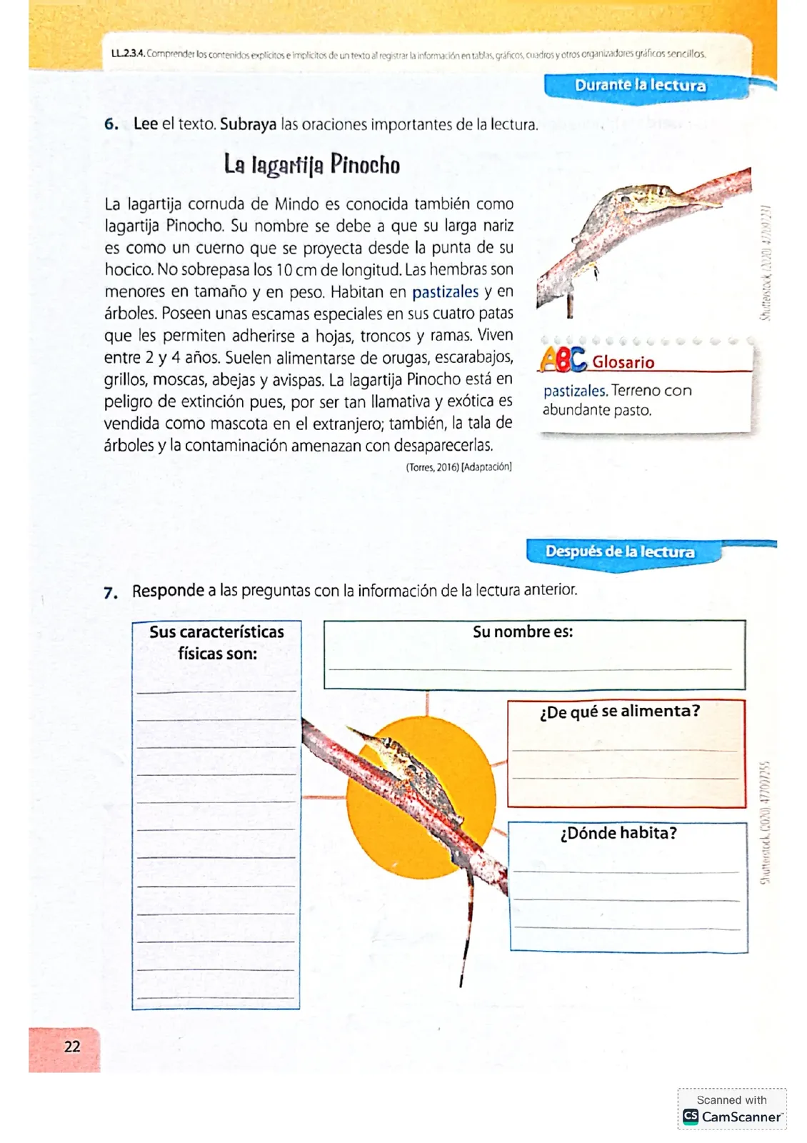 Página 22 de Lengua Y Literatura · 4 EGB · 2024