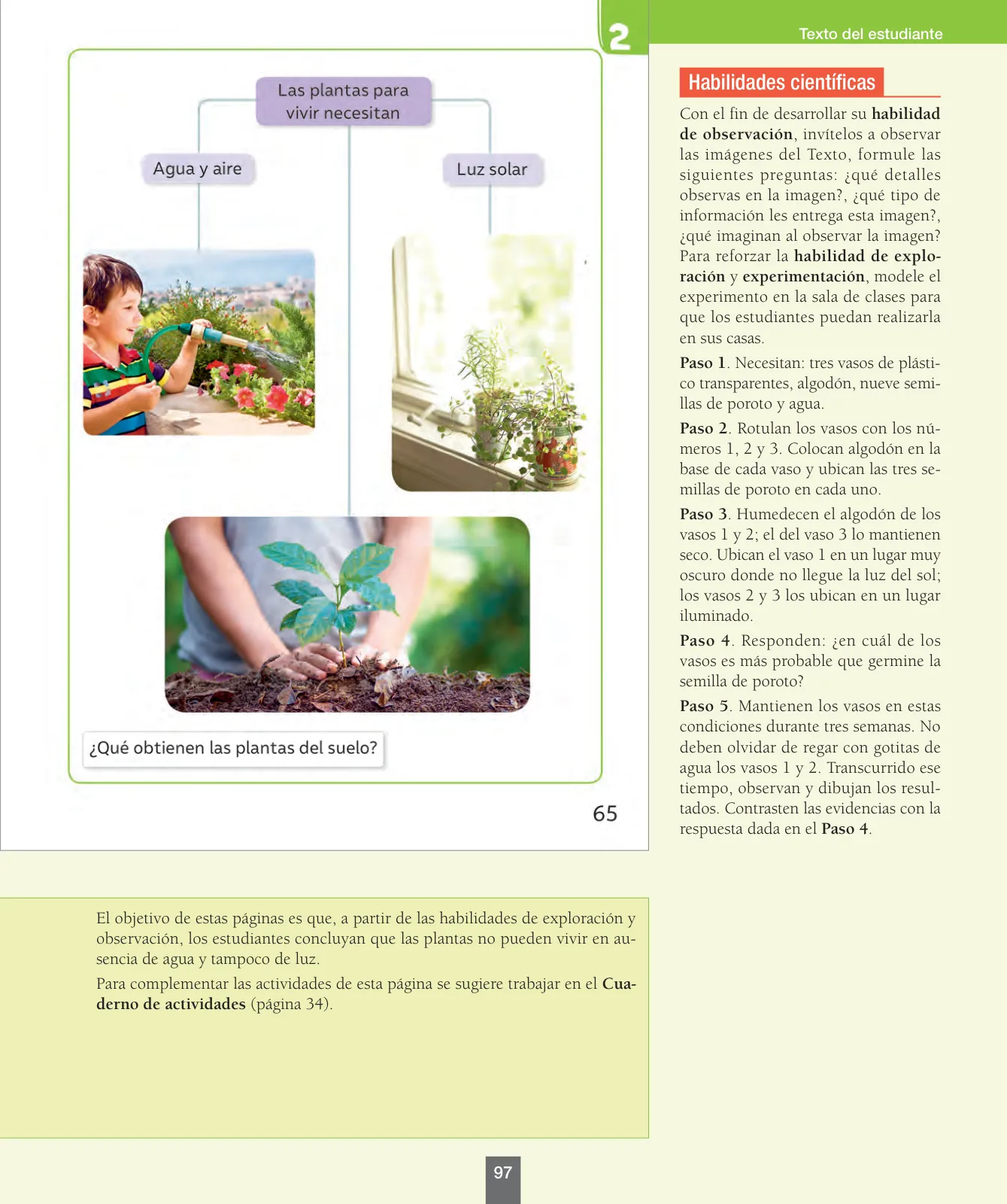 Miniatura página 98 de Ciencias Naturales – Primero Básico | Texto del Estudiante (MINEDUC) – Descargar PDF · 2024