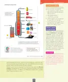 Miniatura página 26 de Ciencias Naturales – Séptimo Básico | Texto del Estudiante MINEDUC – Descargar PDF · 2024