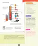 Miniatura página 26 de Ciencias Naturales – Séptimo Básico | Texto del Estudiante MINEDUC – Descargar PDF · 2024