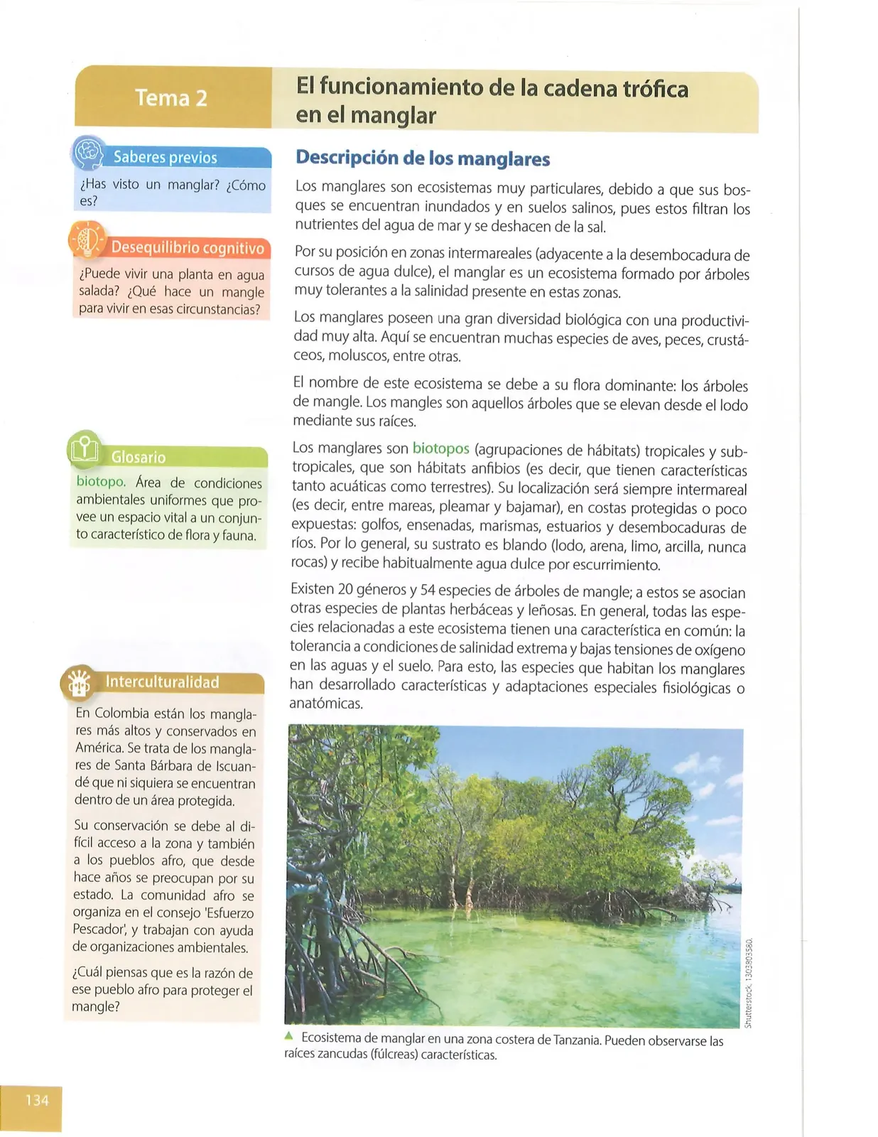 Página 133 de Ciencias Naturales · 8 EGB · 2025