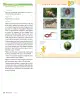 Miniatura página 32 de Sumo Primero – Primero Básico | Texto del Estudiante (MINEDUC) – Descargar PDF · 2024