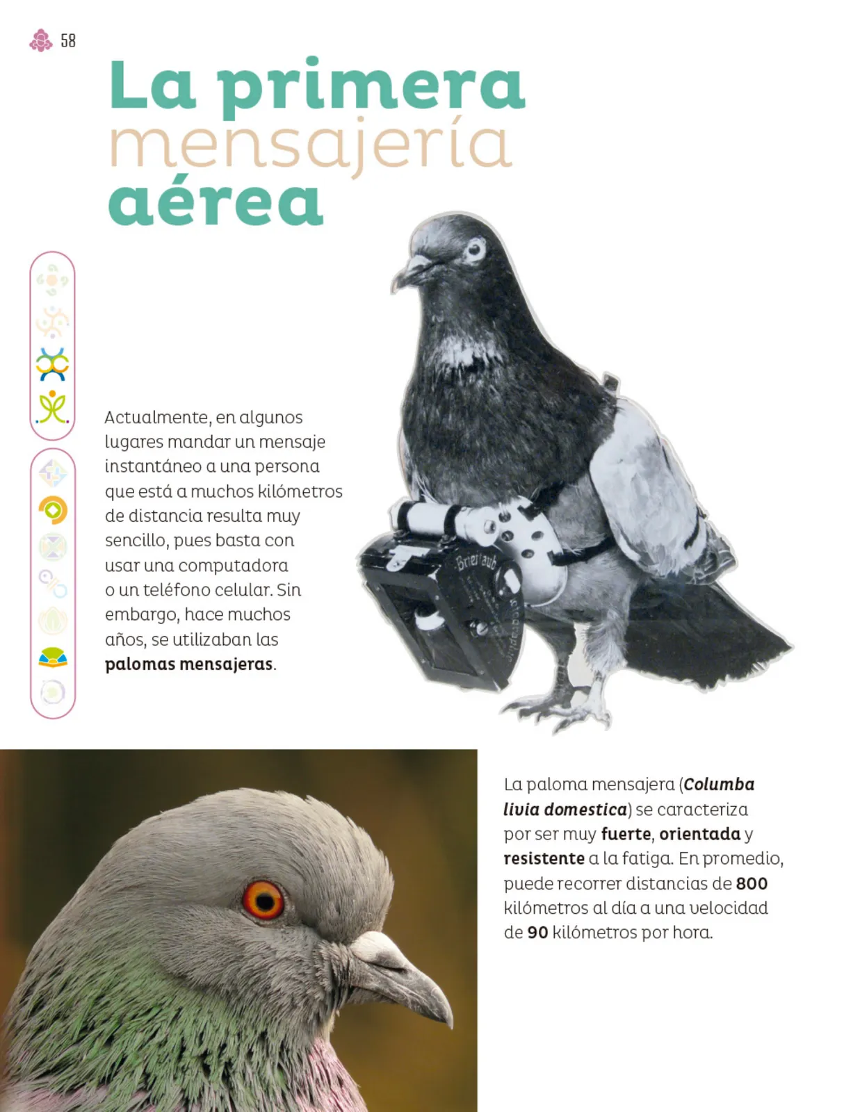 Pág 59