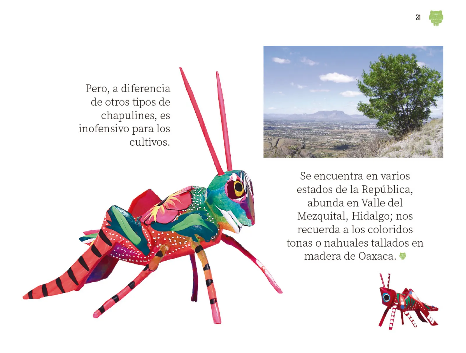 Miniatura página 32 de Múltiples lenguajes.   Libro de Educación Preescolar Grado 2°  Ciclo Escolar 2025 - 2026