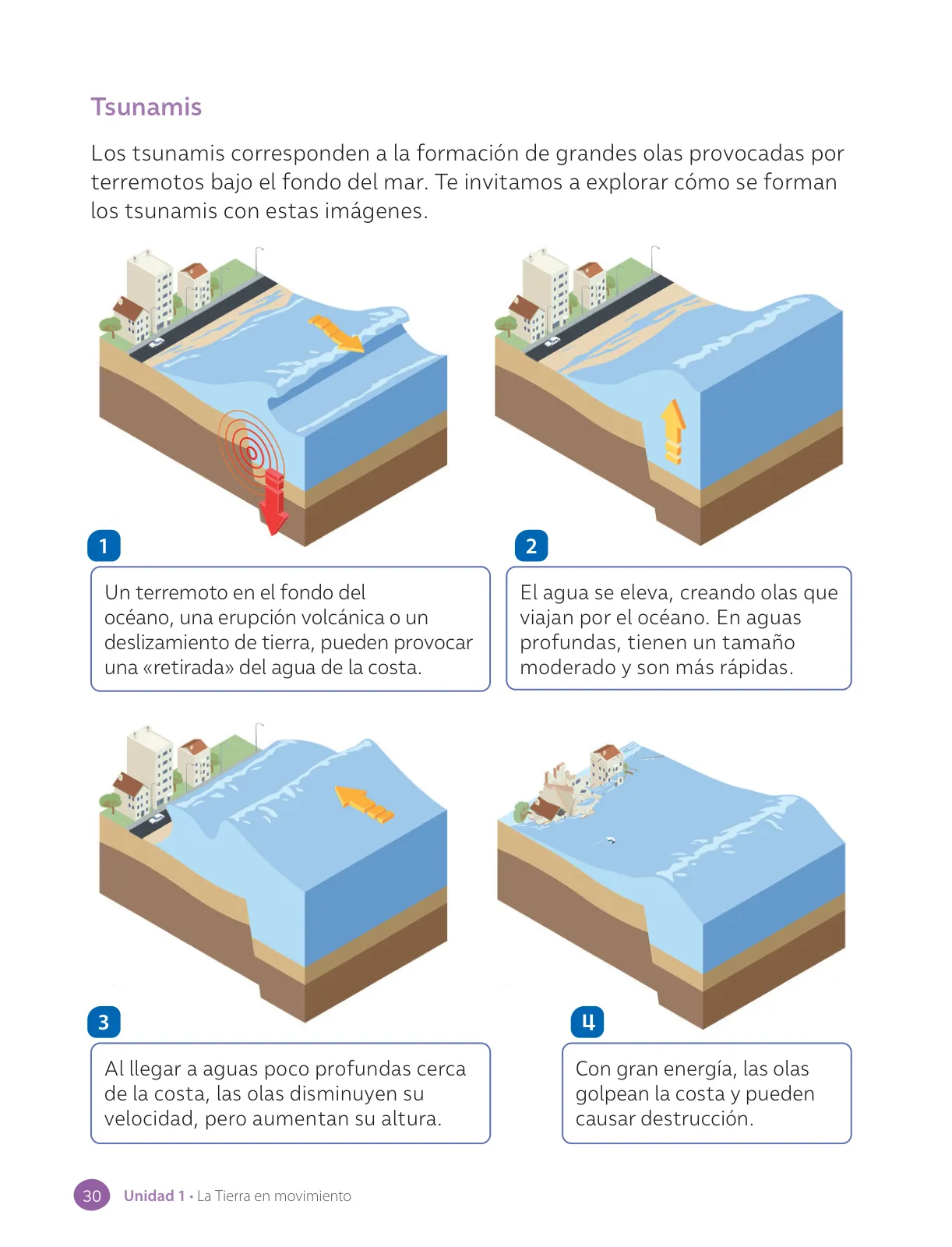 Miniatura página 32 de Ciencias Naturales – Cuarto Básico | Texto del Estudiante MINEDUC – Descargar PDF · 2024