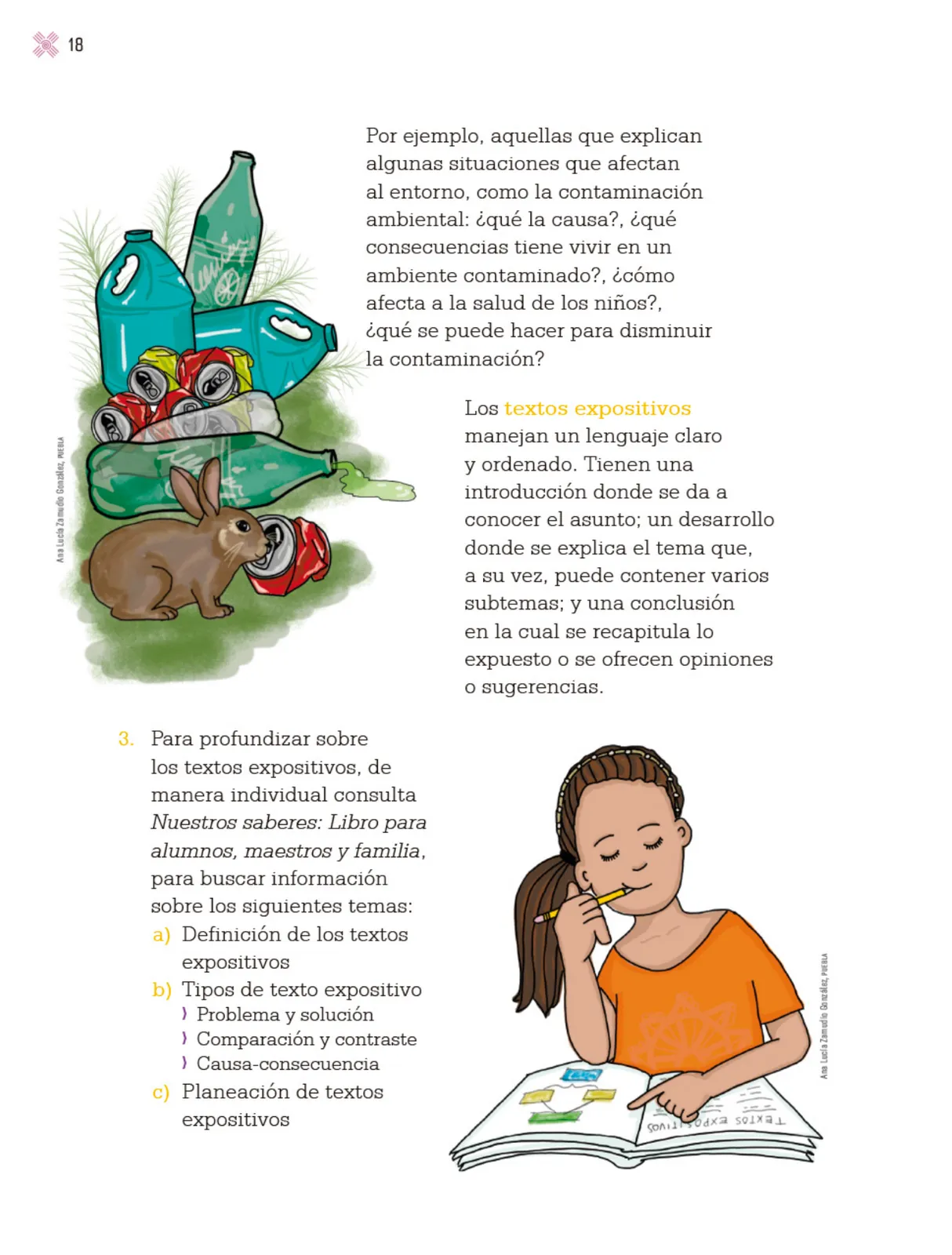 Miniatura página 21 de Proyectos Escolares.   Libro de Educación Primaria Grado 3°  Ciclo Escolar 2025 - 2026