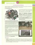 Miniatura página 87 de Lengua Y Literatura 10° · Egb 10 Lengua Y Literatura 2025 · 2025