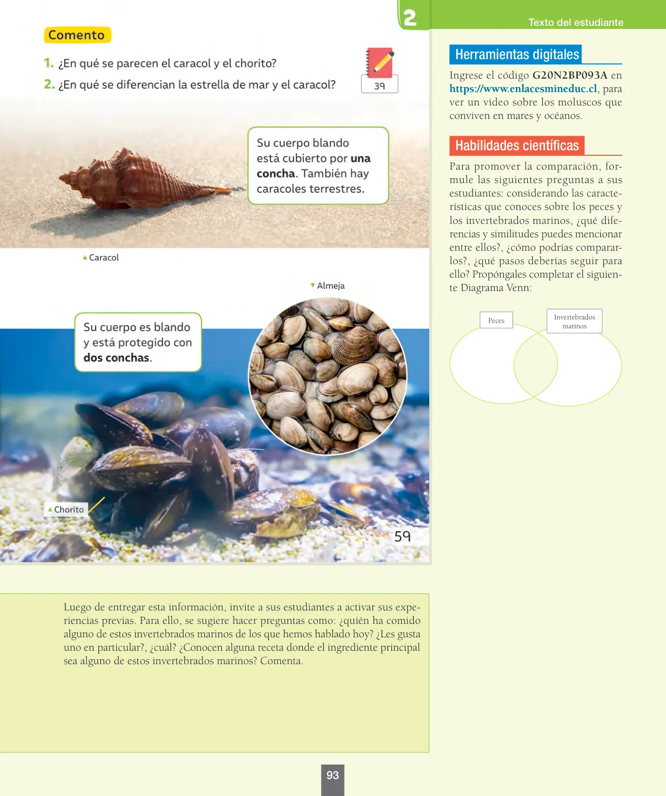 Página 94 de Ciencias Naturales – Segundo Básico | Texto del Estudiante MINEDUC – Descargar PDF · 2024