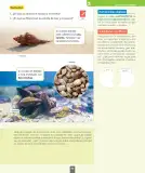 Miniatura página 94 de Ciencias Naturales – Segundo Básico | Texto del Estudiante MINEDUC – Descargar PDF · 2024