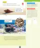 Miniatura página 94 de Ciencias Naturales – Segundo Básico | Texto del Estudiante MINEDUC – Descargar PDF · 2024