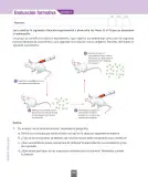 Miniatura página 81 de Ciencias Naturales – Séptimo Básico | Texto del Estudiante MINEDUC – Descargar PDF · 2024