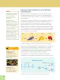 Miniatura página 44 de Ciencias Naturales 6° · Egb 6 Ciencias Naturales 2025 · 2025
