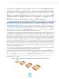 Miniatura página 6 de Fascículo para el desarrollo de la competencia Resuelve problemas de regularidad, equivalencia y cambio · 2024