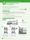 Miniatura página 42 de Ciencias Naturales – Tercero Básico | Texto del Estudiante MINEDUC – Descargar PDF · 2024