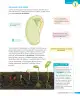 Miniatura página 78 de Ciencias Naturales – Tercero Básico | Texto del Estudiante MINEDUC – Descargar PDF · 2024