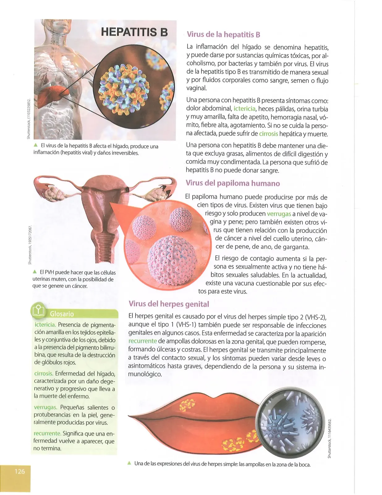 Página 123 de Ciencias Naturales · 10 EGB · 2024