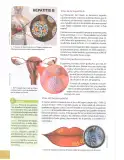 Miniatura página 123 de Ciencias Naturales 10° · 2025