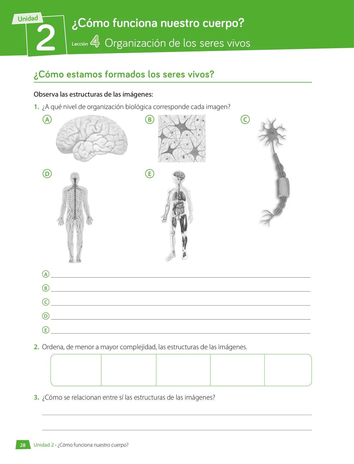 Página 29 de Libro de Ciencias Naturales – Quinto Básico | Texto del Estudiante MINEDUC – Descargar PDF · 2024