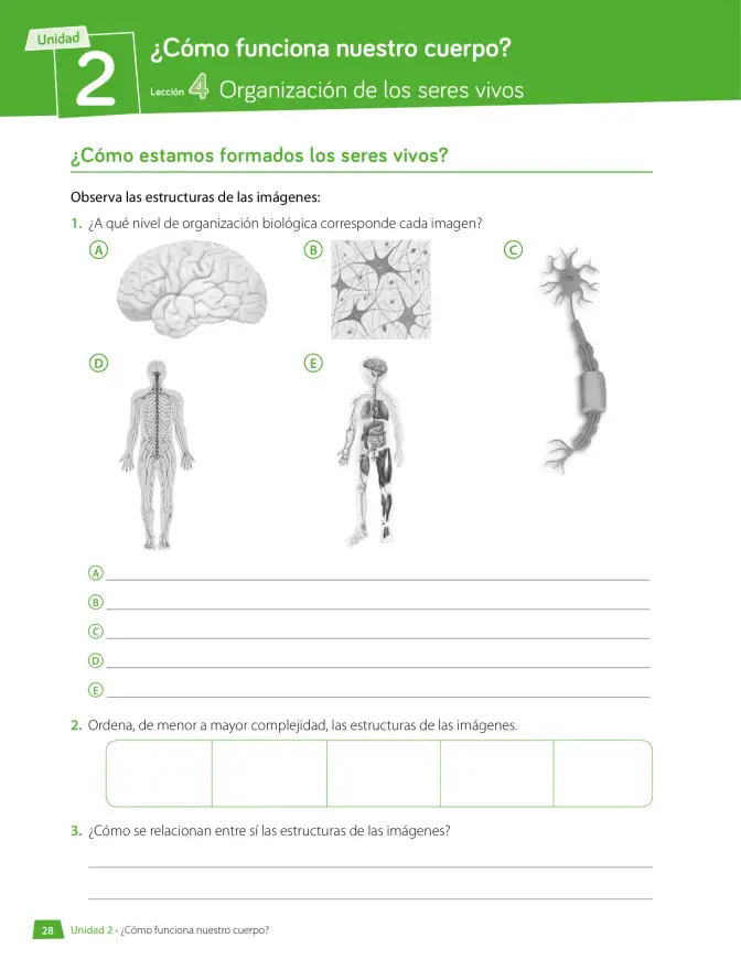 Página 29 de Libro de Ciencias Naturales – Quinto Básico | Texto del Estudiante MINEDUC – Descargar PDF · 2024
