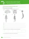 Miniatura página 29 de Libro de Ciencias Naturales – Quinto Básico | Texto del Estudiante MINEDUC – Descargar PDF · 2024