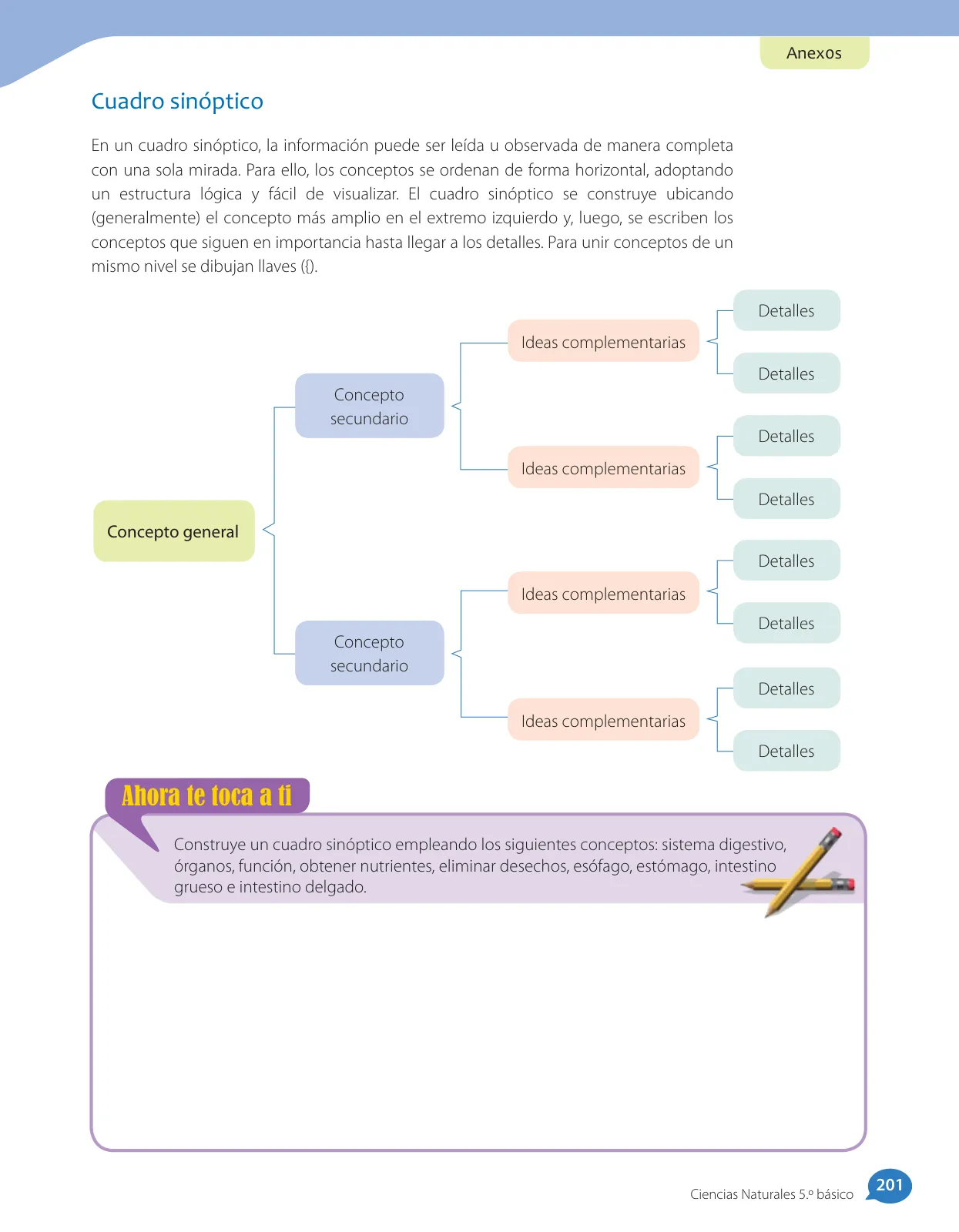 Miniatura página 187 de Libro de Ciencias Naturales – Quinto Básico | Texto del Estudiante MINEDUC – Descargar PDF · 2024