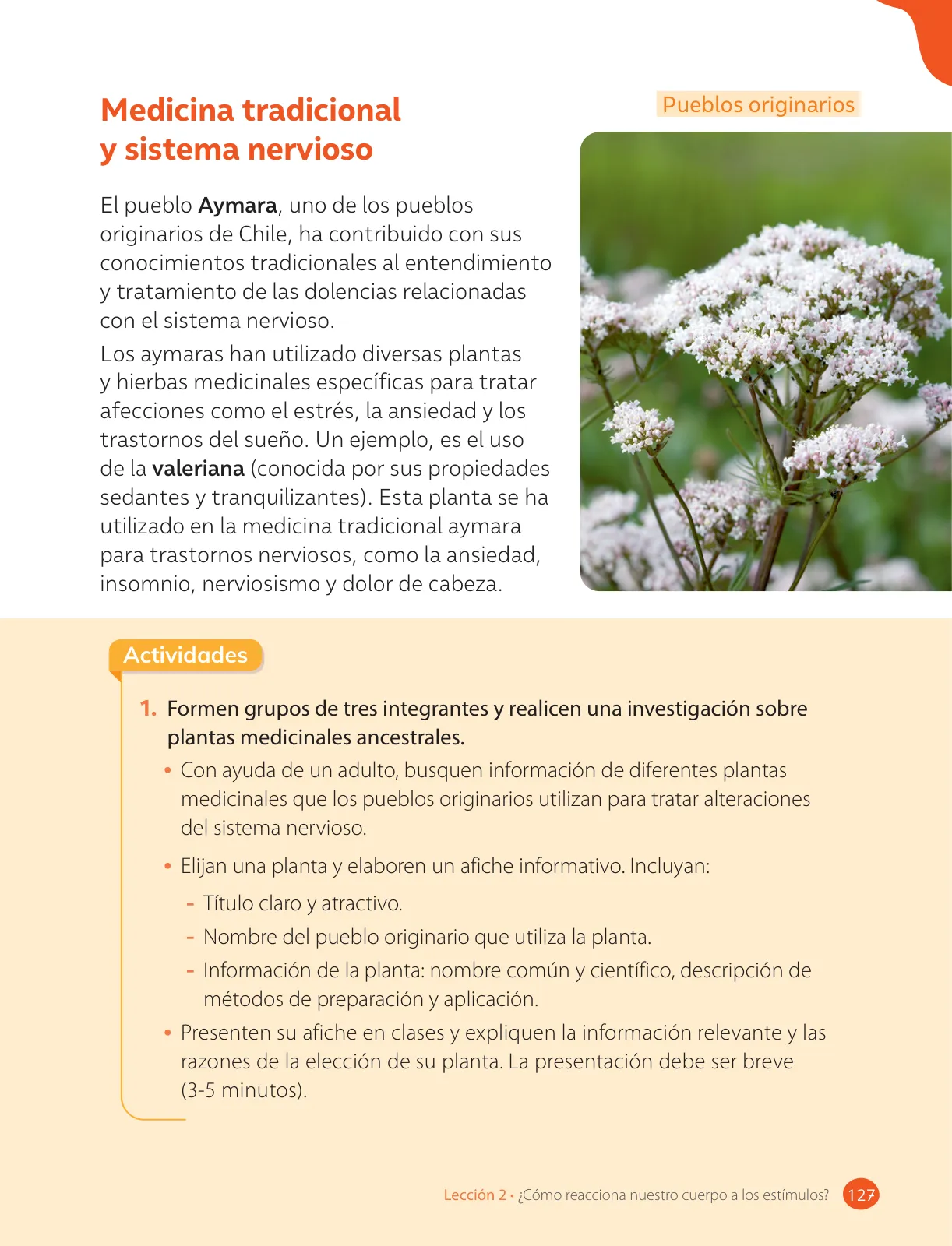 Miniatura página 129 de Ciencias Naturales – Cuarto Básico | Texto del Estudiante MINEDUC – Descargar PDF · 2024