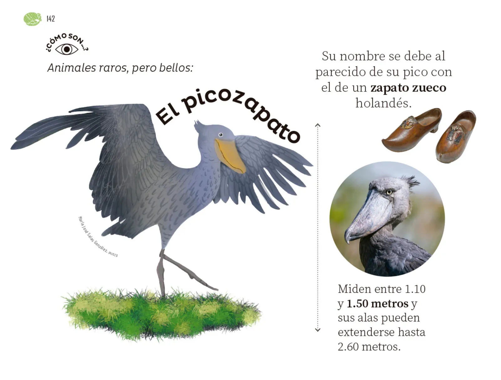Página 143 de Múltiples lenguajes. Libro de Educación Preescolar Grado 1° Ciclo Escolar 2025 - 2026