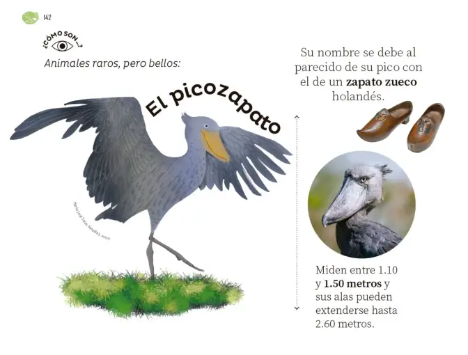 Página 143 de Múltiples lenguajes. Libro de Educación Preescolar Grado 1° Ciclo Escolar 2025 - 2026