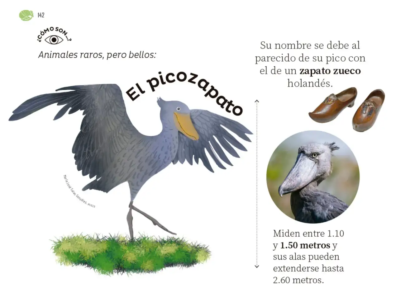 Página 143